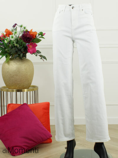 Goodies Wide Leg Stretch Jeans - Wit