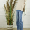 Top / Spencer Milano - Beige