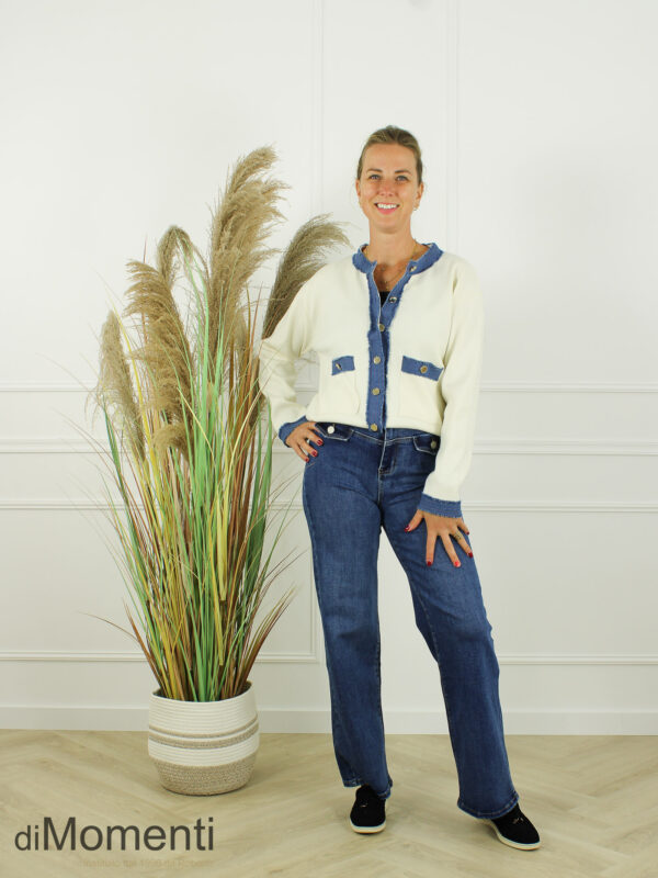 Vest Jeany - Ecru