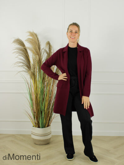 Vest / Jas Brooklyn - Bordeaux