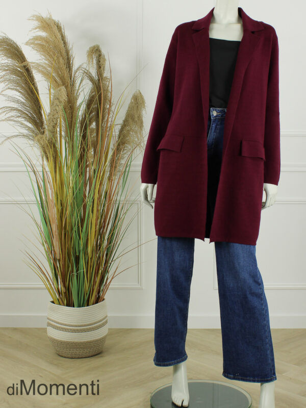 Vest / Jas Brooklyn - Bordeaux
