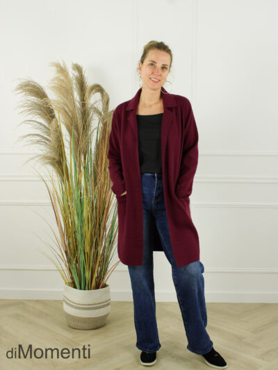 Vest / Jas Brooklyn - Bordeaux