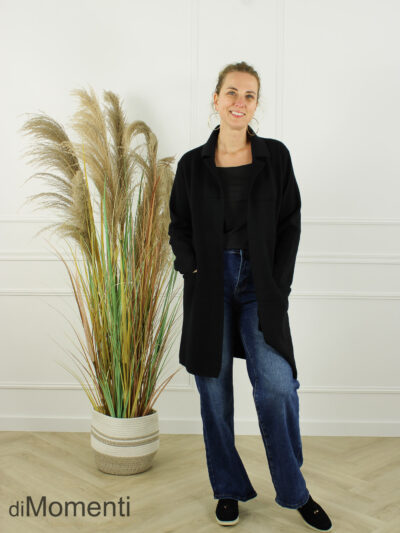 Vest / Jas Brooklyn - Zwart