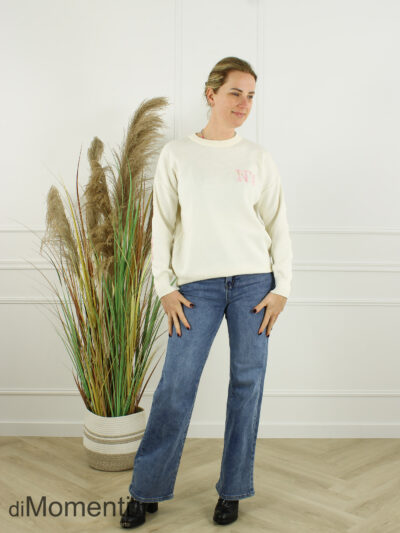 Trui New York - Roze