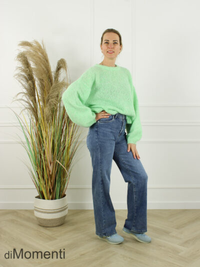Trui Elle - Mint Groen