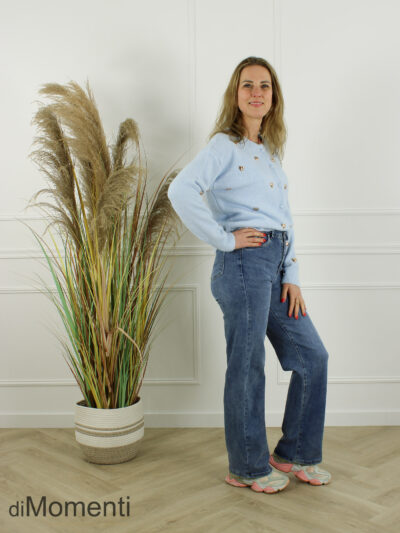 Vest Rosanne - Licht Blauw