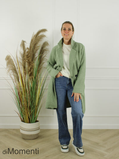 Jas / Blazer Ravenna Oversized - New Groen