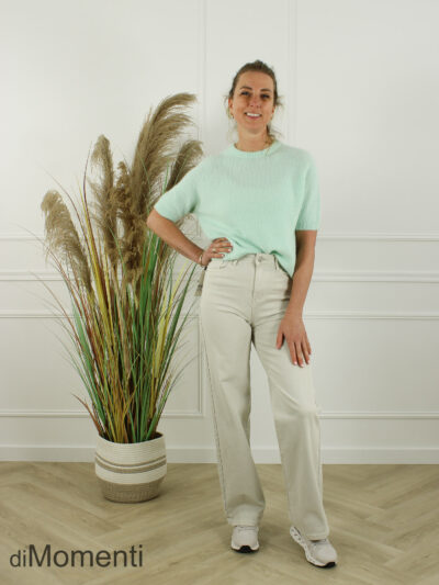 Goodies Wide Leg Stretch Jeans - Beige